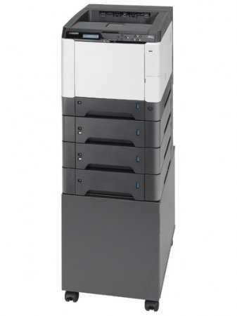 FS-C5250DN (снят с производства)